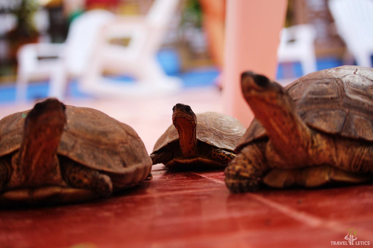 Hotel Mary Carmen Cozumel Dış mekan fotoğraf